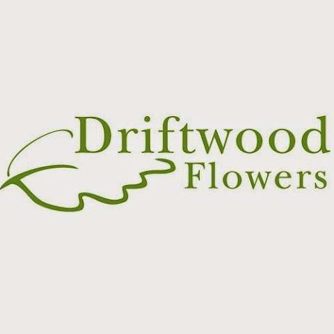 Driftwood Flowers photo