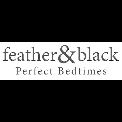 Feather & Black photo